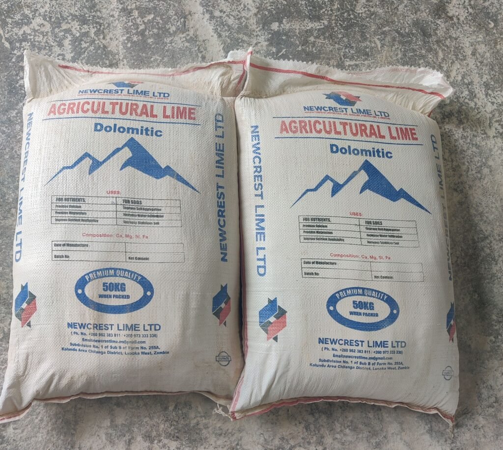 Neelkanth Lime CEO Hails Government for Reopening Lime Exports to DRC 480684186 122181780548269127 7534779418401365621 N 1024x917